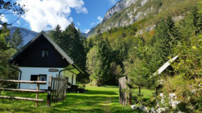 Počitniška hiša Ukanc Bohinjska Bistrica